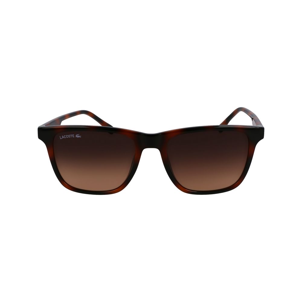 Lacoste Brown Sunglasses