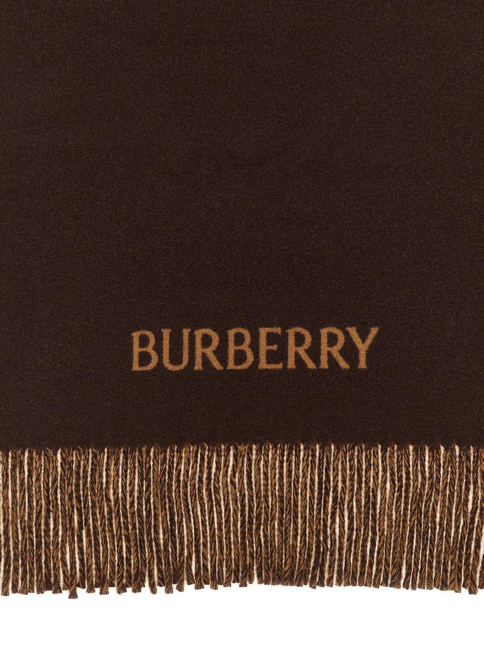 Burberry Multicolor Cashmere Scarf