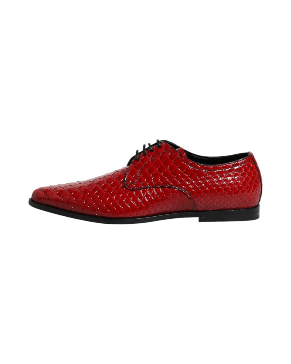 Dolce & Gabbana Red Exotic Leather Lace Up Dress Derby Shoes