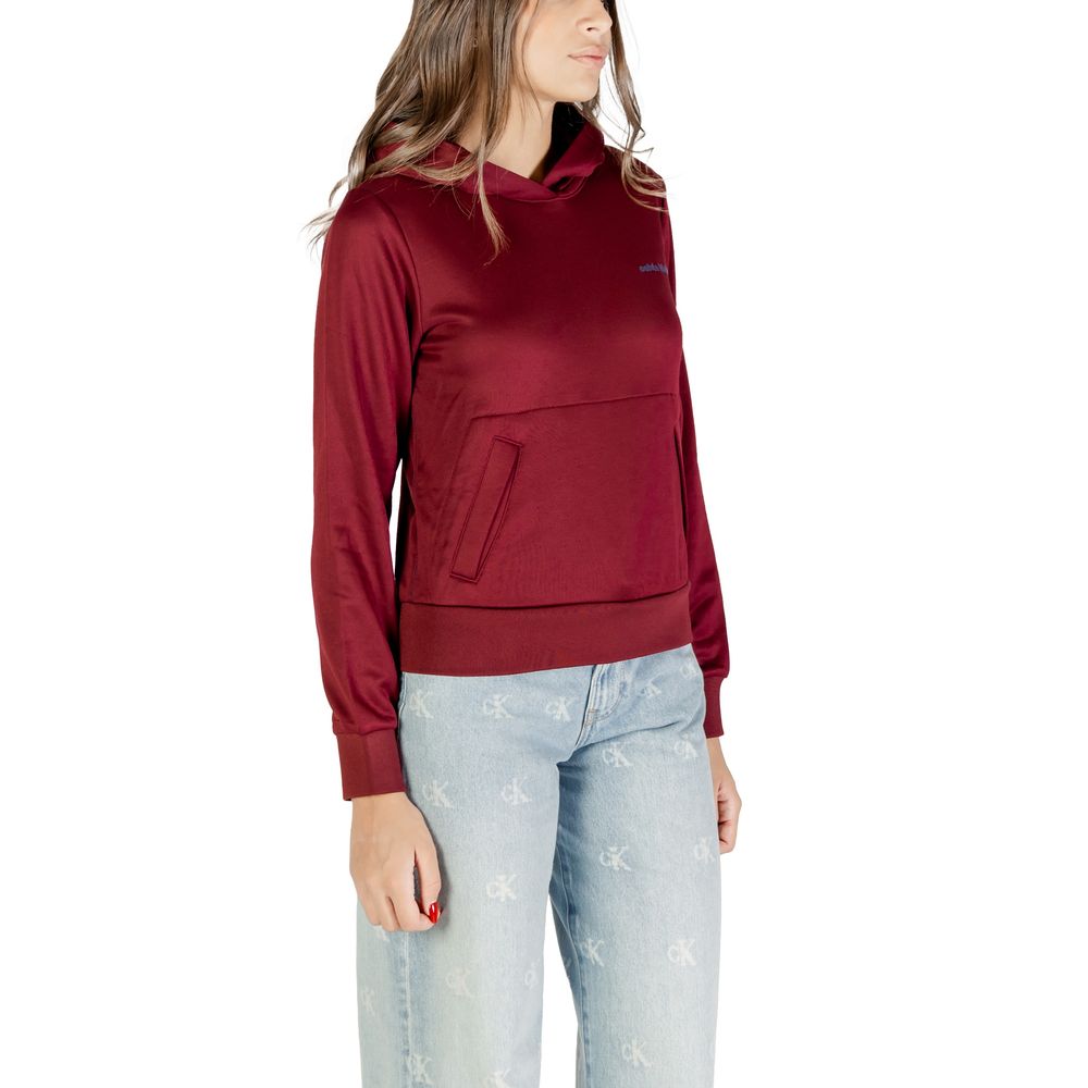 Calvin Klein Burgundy Cotton Hoodie